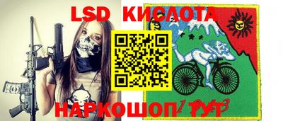 прущие грибы Краснодар