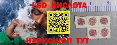 прущие грибы Краснодар