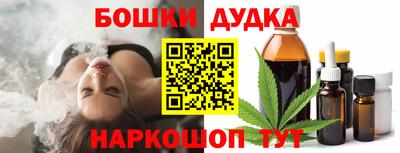 прущие грибы Краснодар