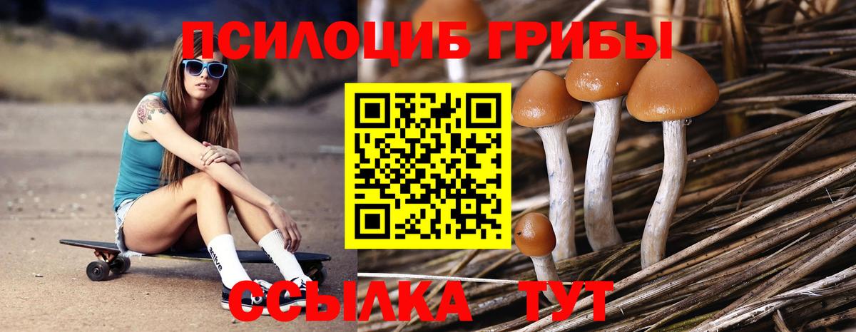 Псилоцибиновые грибы Cubensis  Галлюциногенные грибы MAGIC MUSHROOMS  наркотики  Котовск  Вход с VPN 