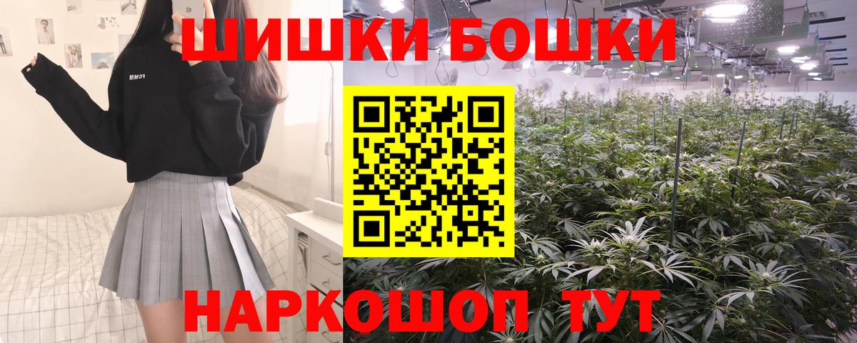 Конопля гибрид Котовск